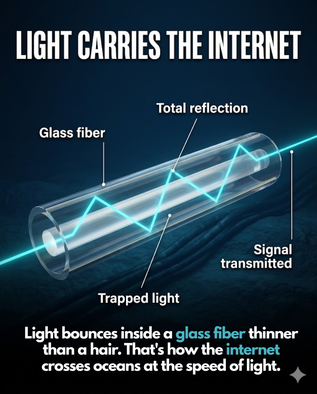 Light - Slide 14